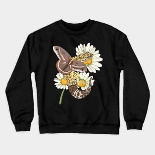 Fairy Leopard Gecko with Cecropia Moth Wings and Daisies Crewneck Sweatshirt